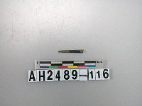 藏品(磨製石針)的圖片